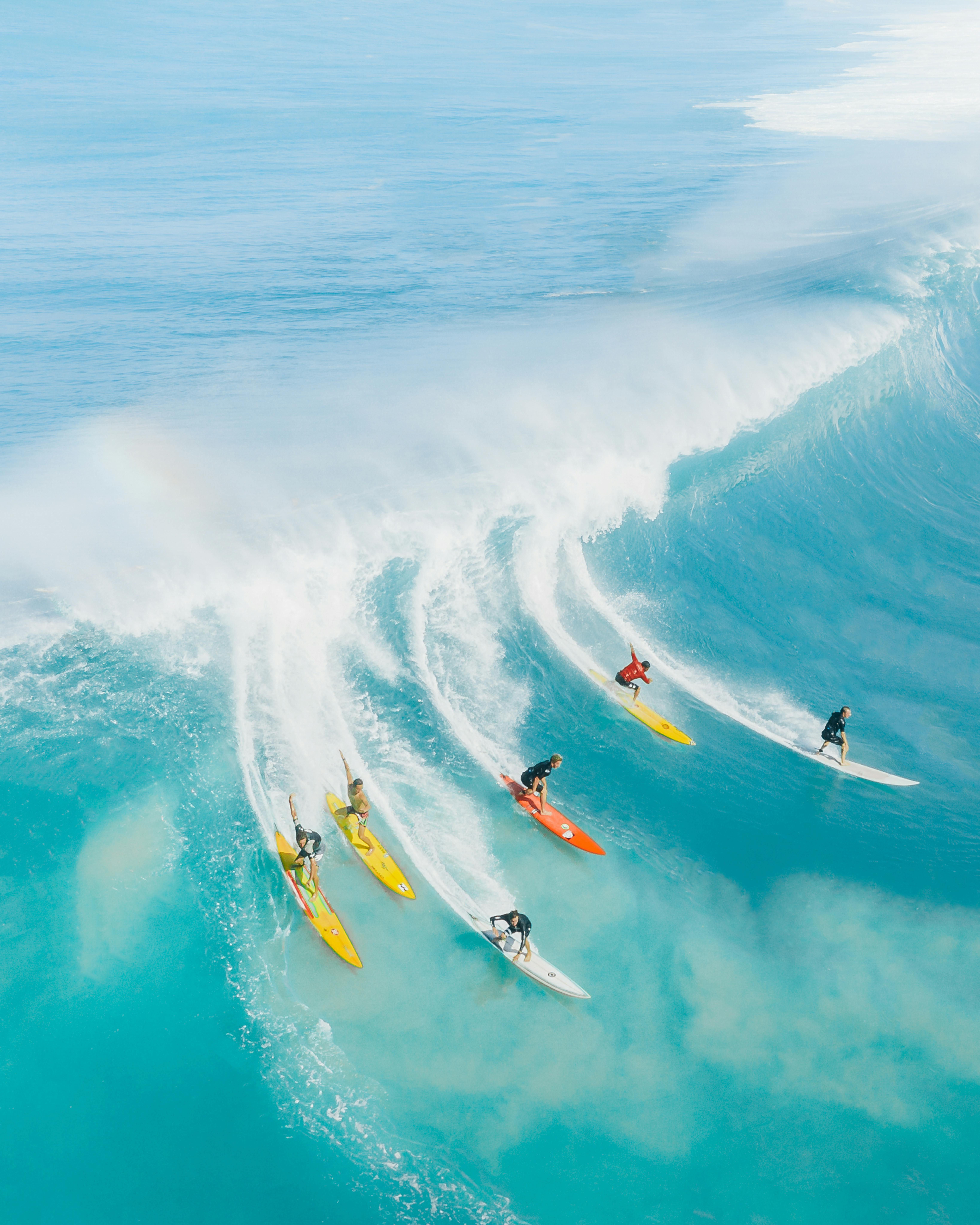 People surfing a large wave